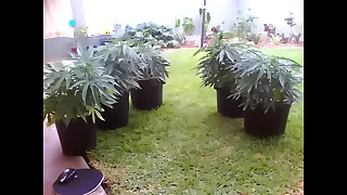 Succeed in 20171214 07 45 07 Pro